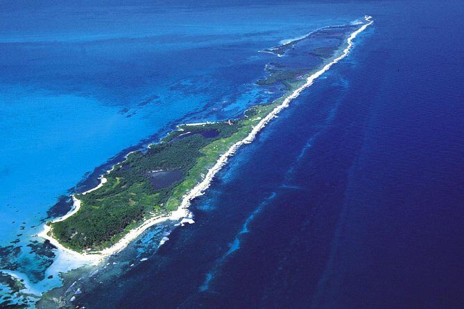 Island Contoy Adventour & Buffete & Isla Mujeres only from Cancun - Who Will Love This Tour?