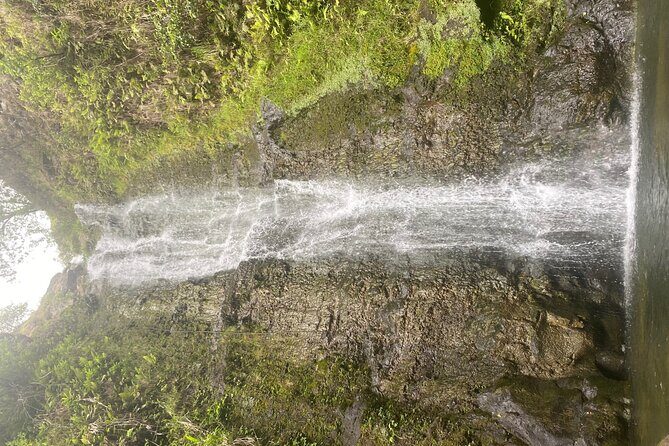 Island of Maui Customized Half Day Tour - Who Will Love This Tour?