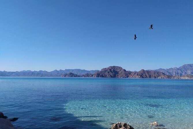 Islands of Loreto PRIVATE TOUR (Danzante y Sur de Carmen) - Frequently Asked Questions (FAQ)