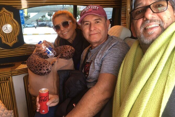 Istanbul Airport Transfer Private Minivan or Minibus - Who Will Love This Service?