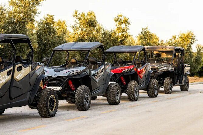 Istra Buggy Tour with a Local Guide - FAQ