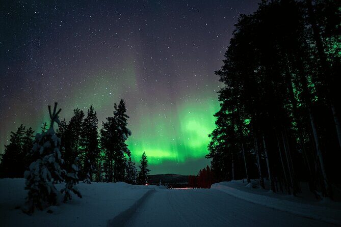 Ivalo: Aurora Hunting with Reindeer - Who Will Love This Tour?