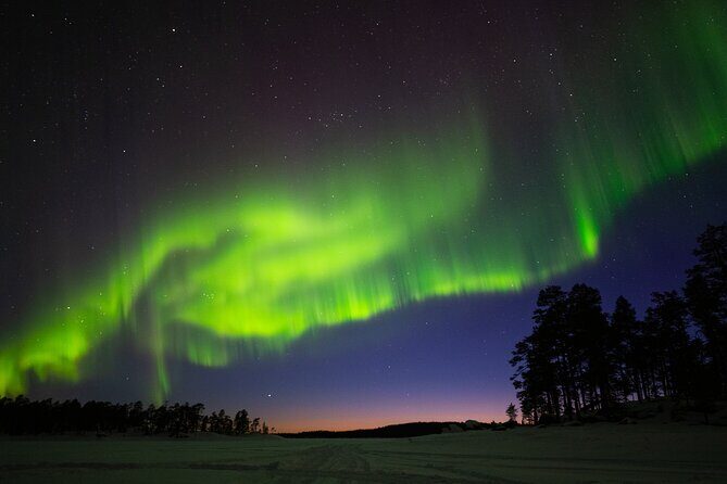 Ivalo: Wilderness Adventure by Snowmobile Sleigh - Who Will Love This Tour?