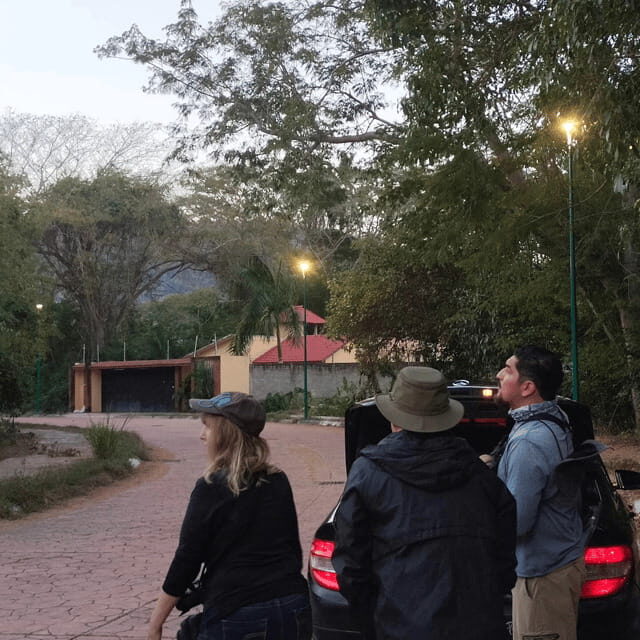 Ixtapa: Bird Watching Tour with Round-Trip Transportation - Why This Tour Offers Good Value