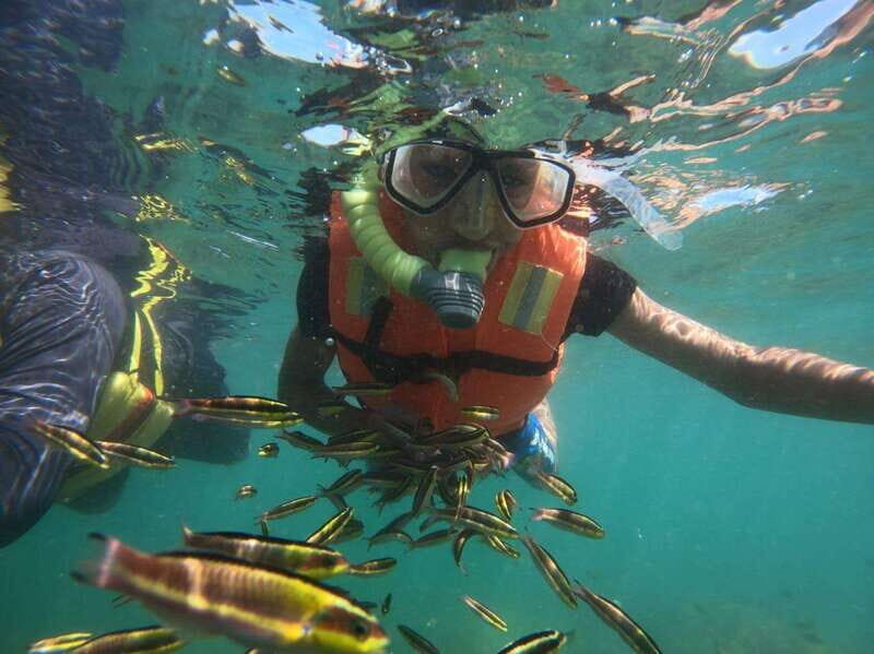 Ixtapa-Zihuatanejo: Island of Ixtapa Day Trip with Lunch - Final Thoughts