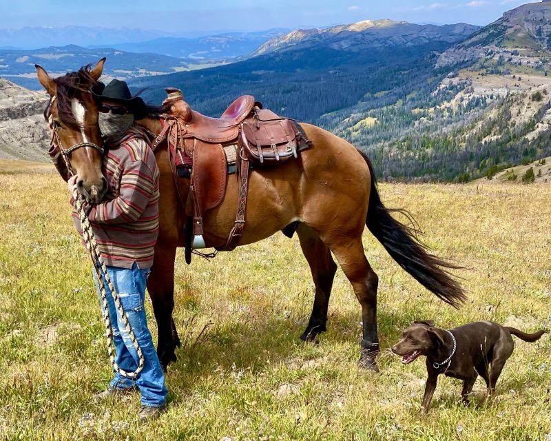 Jackson Hole: Bridger-Teton National Forest Horseback Ride - Who Will Love This Experience?