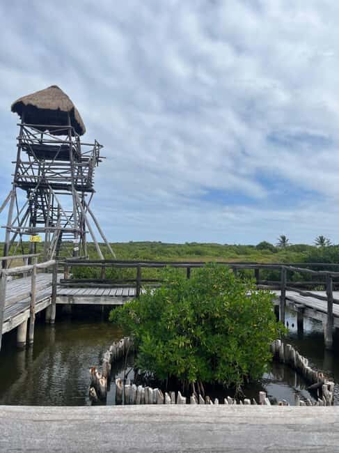 Jeep Tour to Punta Sur Eco Beach Park with Lunch - A Deep Dive into the Tour Experience