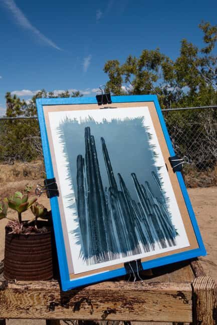 Joshua Tree: Cyanotype Sunprint Workshop - Why This Workshop Offers Great Value