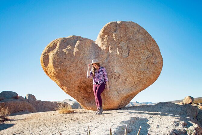 Joshua Tree National Park and Pioneertown Tour - Who Will Love This Tour?