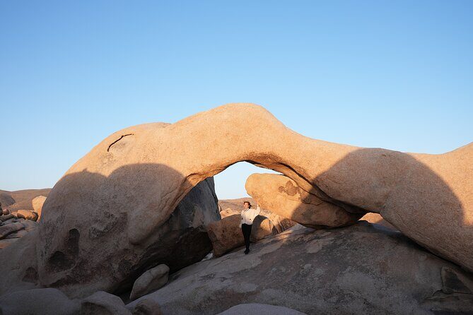 Joshua Tree National Park Private Adventure from Los Angeles - Who Should Book This Tour?