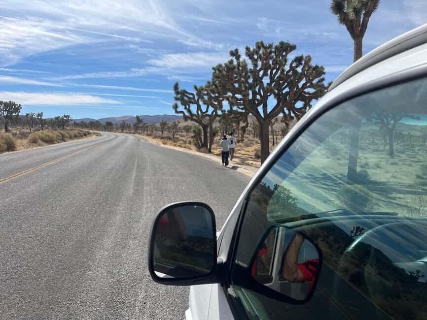 Joshua Tree National Park Tours | Private Tour (Max 10) - Practical Tips for Your Tour