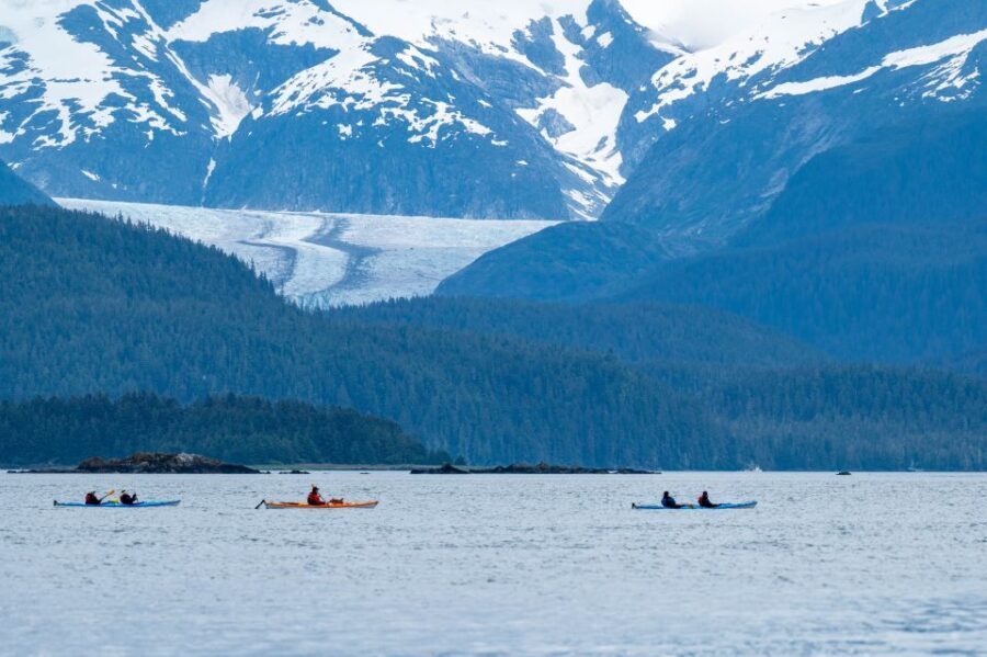 Juneau: Paddle with Whales Kayak Adventure - Transportation and Logistics