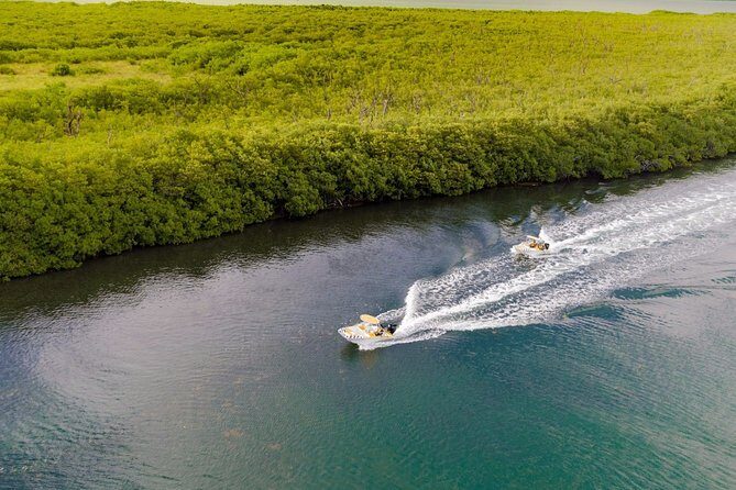 Jungle Adventure Tour! Speed boat and Snorkeling (Single) - Who Will Love This Tour?