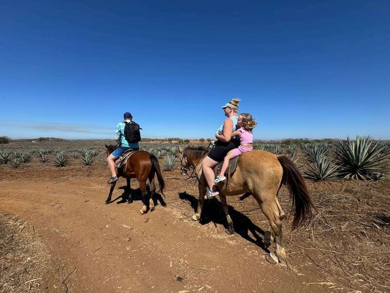 Jungle and beach horseback ride + lunch + mezcal - An Overview of the Experience