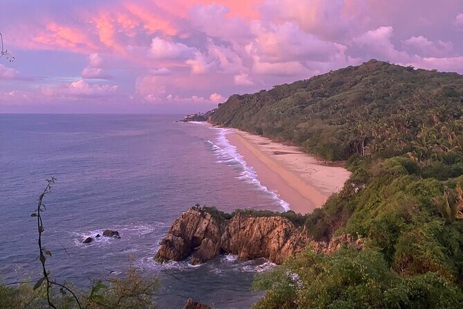 Jungle & Beach: Hidden treasures between the Jungle and the Coast - What to Expect from the Jungle & Beach Tour