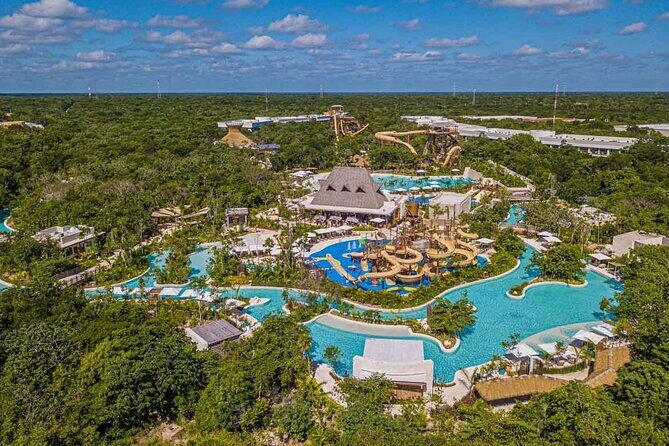 Jungle - Authentic Traveler Insights and Expectations