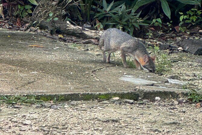 Kaan Luum Lagoon and Cenote Adventure - Authenticity and Unique Aspects