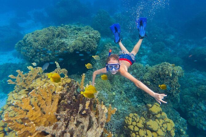 Kaan Luum Lagoon and Cenote Snorkel Tour in Tulum - What’s Included and What’s Not