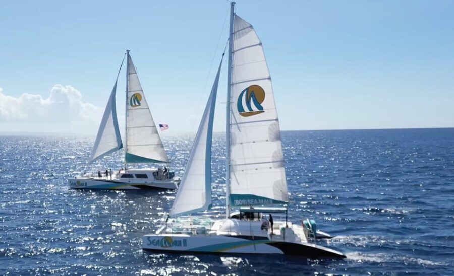 Ka'anapali Beach: Coral Reef Snorkel and Turtle Spotting - A Closer Look at the Experience