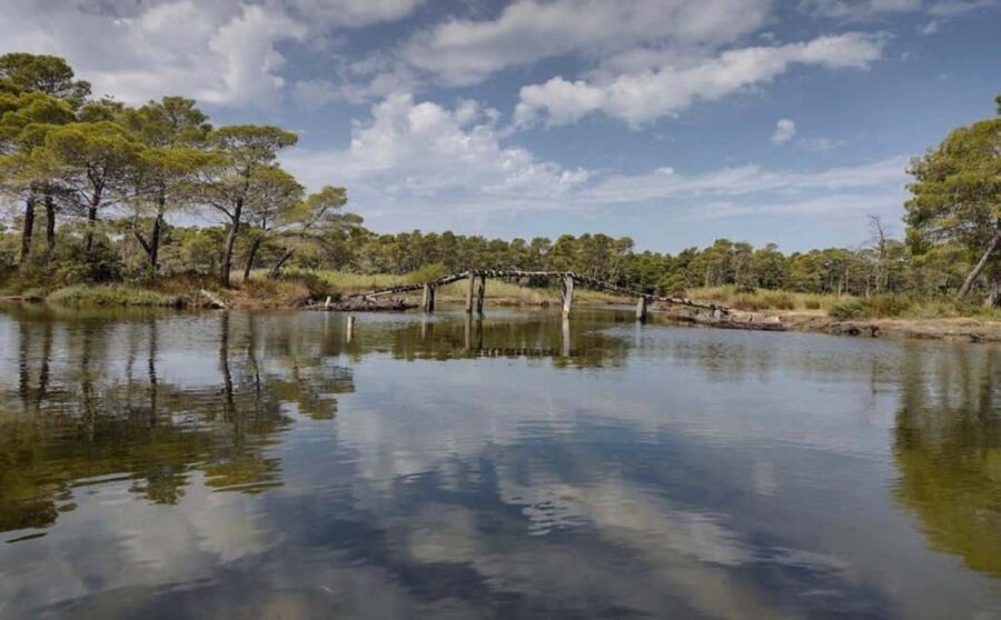 Karavasta:Bird Watching, Tower Views & Lagoon Boat Ride - Who Will Love This Tour?