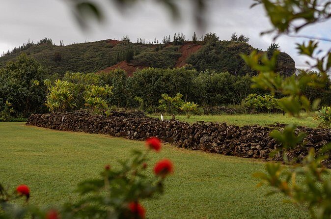Kauai East Side SHARED Adventute - Who Will Find This Tour Most Valuable?