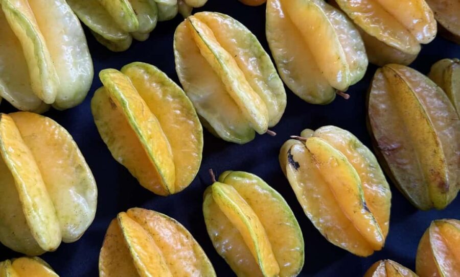 Kauai: Farmers Market Tasting Tour - Why choose this tour?