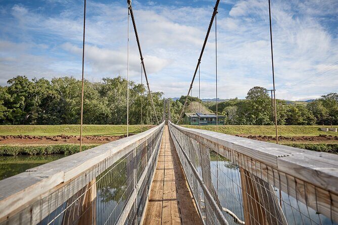 Kauai Full Day Tour with Cruise ships or Kauai Airport Pickup - Practical Insights for Travelers