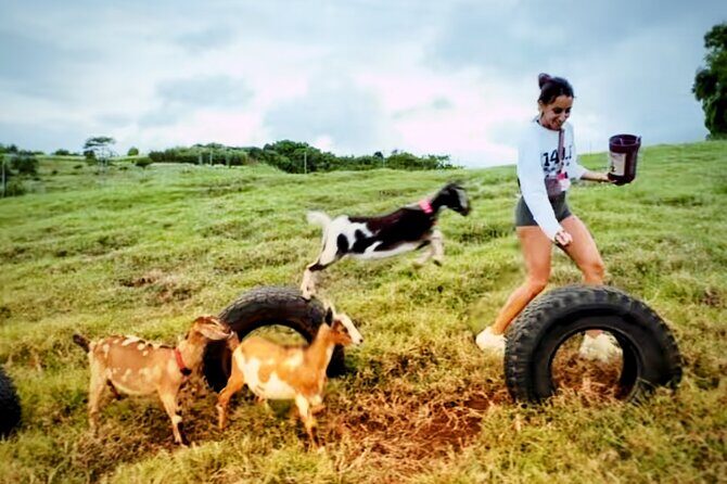 Kauai Private Baby Farm Animal Experience & Micro Dairy Immersion - Why This Tour Works