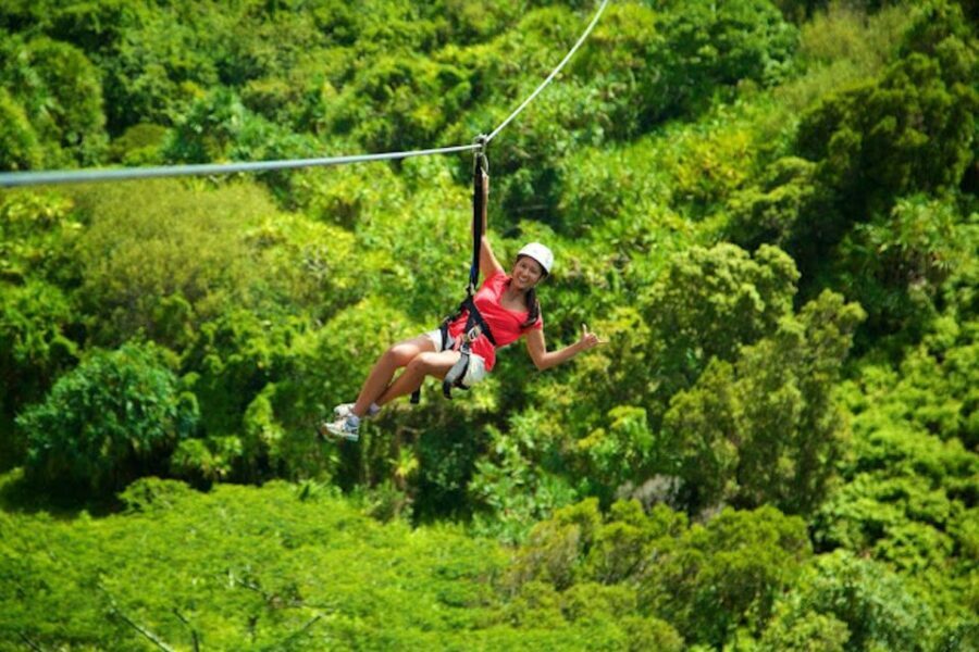 Kauai: Zipline Adventure - Starting at Poipu Shopping Village