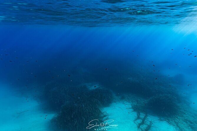 Kayak and Snorkeling Tour in the Bergeggi Island MPA - Who Should Book This Tour?