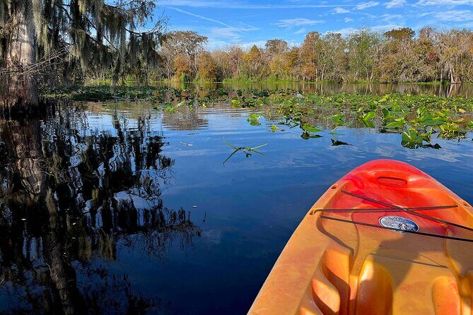 Kayak Rental (2hr) - Blue Spring State Park - What to Expect on Your Kayak Adventure