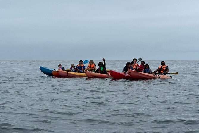 Kayak The Jacket and Flea market Private Tour - What to Expect from the Experience