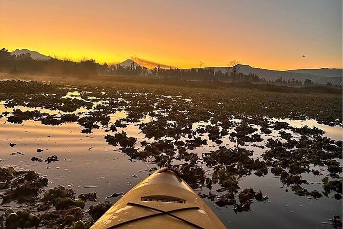 Kayaking adventure through the Xochimilco and Frida Kahlo Canals - Practical Details & Value