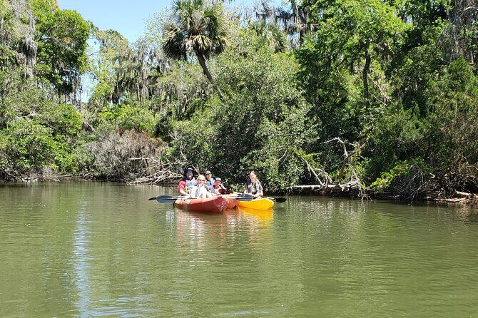 Kayaking Backwaters of New Smyrna Beach Ecotour/Birdwatching - Gear and Convenience