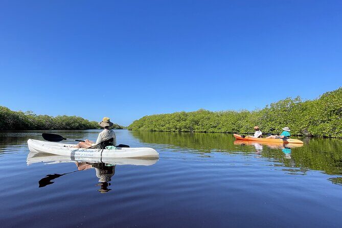 Kayaking in the Mangroves Experience - The Authentic Lunch Experience