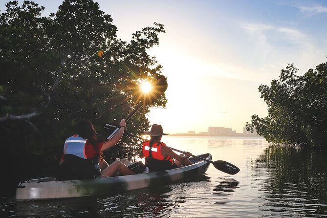 Kayaks at the Mangroves Lagoon Ecosystem from Cancun - The Sum Up: Who Will Love This Tour?