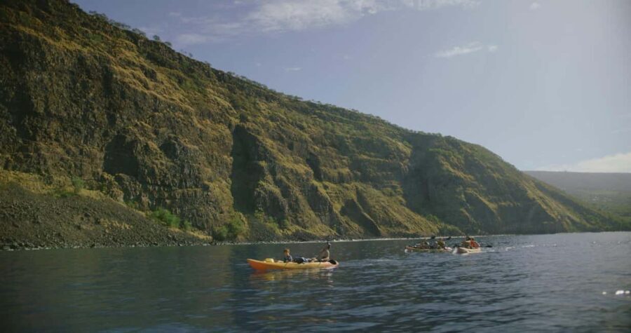 Kealakekua Bay: Guided Kayak & Snorkel Adventure - In Summary: Who Will Love This Tour?