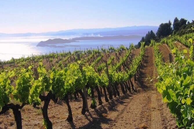 Kefalonia Private Wine Tour - What the Tour Includes and What It Doesn’t