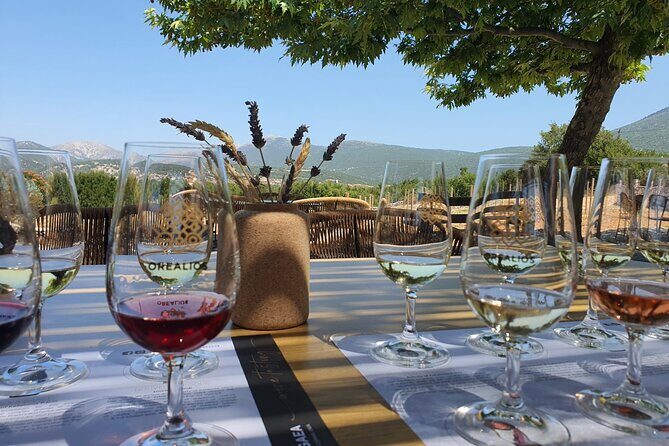 Kefalonia Wine Adventure in 3 Wineries With Tastings - Who Should Consider This Tour?