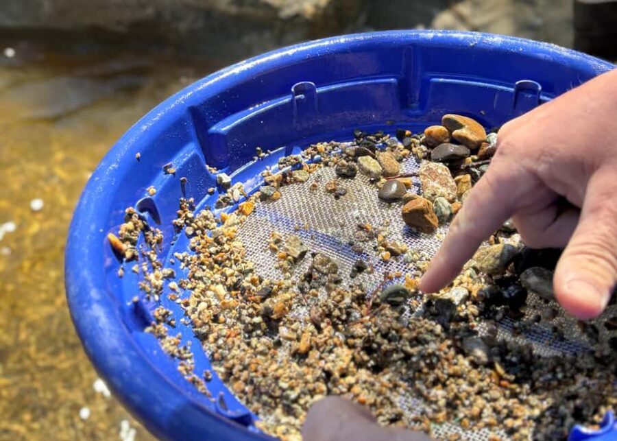 Kelowna: Okanagan Gold Panning Experience at Scenic Canyon - The Scenic Setting and Its Impact