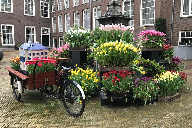 Keukenhof Private Floral Tour from Amsterdam - What the Tour Offers in Practical Terms
