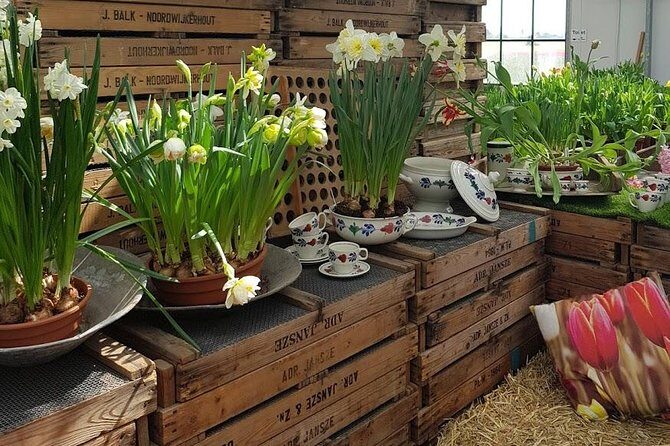 Keukenhof Skip-the-line Tickets: Countryside & Farm Private Tour - Practicalities & Considerations  