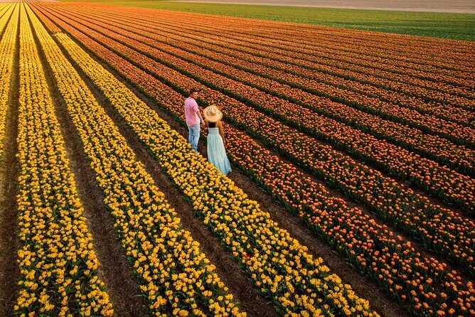 Keukenhof Tulip Garden Tour - Who Will Love This Tour?