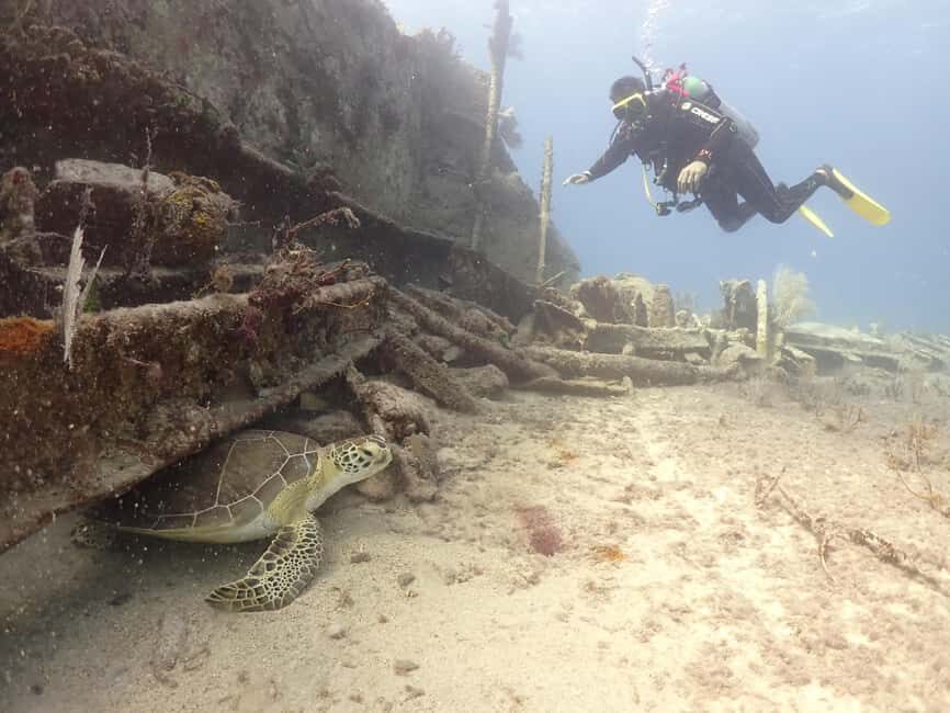 Key Largo: 2-Tank Shallow Reef Dive with Guide & Photos - Why This Tour Offers Great Value