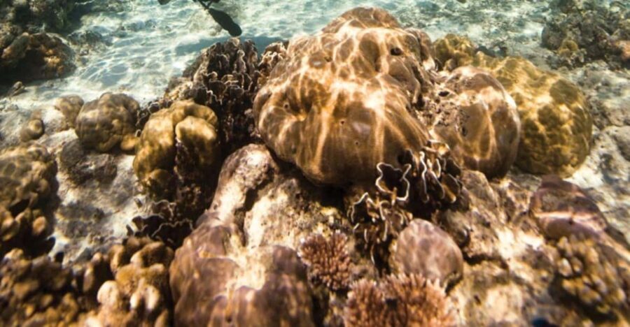 Key Largo: Scuba Refresher Course - Who Should Consider This Course?