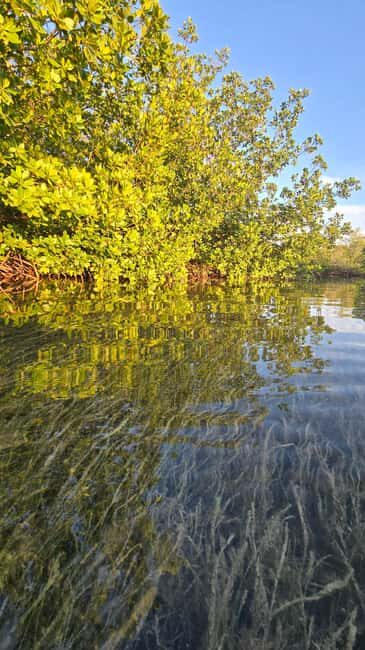 Key West: Kayak or Paddleboard Rental - Who Should Consider This Experience?