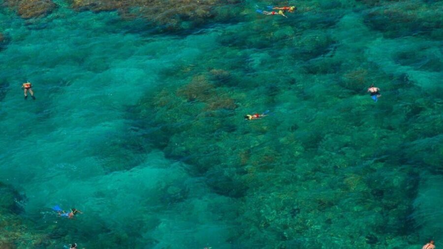 Key West: Reef Snorkeling with Drinks and Sunset Option - Authentic Feedback from Guests