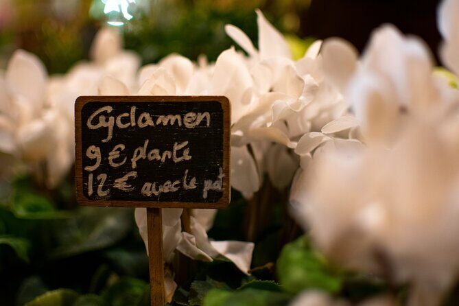 Kids and Families Marais Private Tour in Paris including Jewish Quarter - What Travelers Say