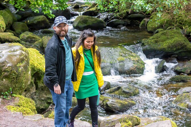 Killarney Luxury: Exclusive National Park Adventure - Who Would Enjoy This Tour?