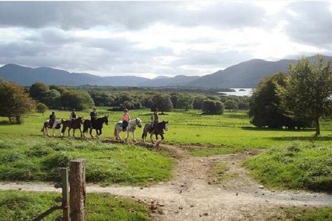 Killarney National Park Horseback Ride. Co Kerry. Guided. 1 hour. - The Value of the Killarney Horseback Ride